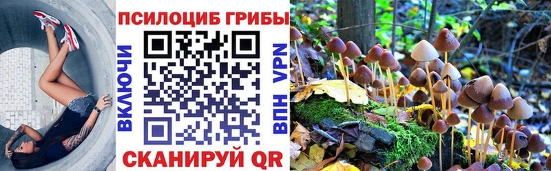 Псилоцибиновые грибы мухоморы  Чебоксары 