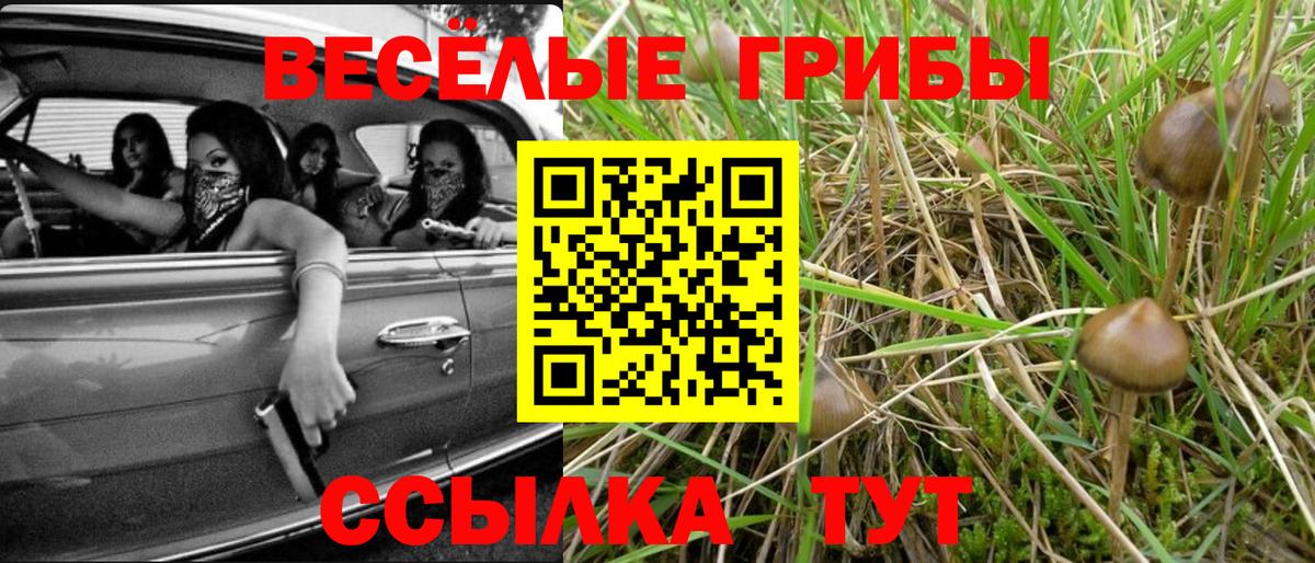 Галлюциногенные грибы Magic Shrooms  Вход с VPN  Галлюциногенные грибы Psilocybine cubensis  Чебоксары 